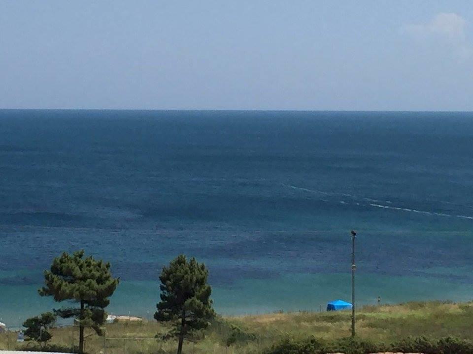 Yasar Apart Sinop Bagian luar foto